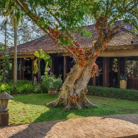 Hồ Tràm Beach Boutique Resort & Spa