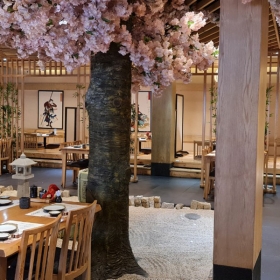 Nhà Hàng Saiko Sushi