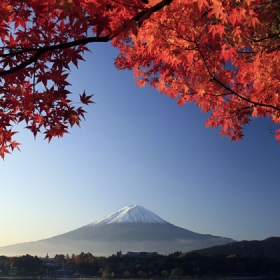 Gió Nhẹ Miền Nam Quốc Tế