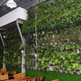 Vườn Dê Vàng Bắc Hải