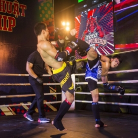 Cocobay Championship Fighter In You