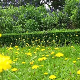 Sweet Home Villa 03 Đà Lạt