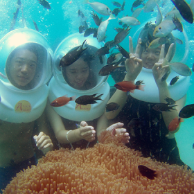 Việt Asian Nha Trang 