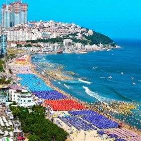 Lạc Việt Travel HCM