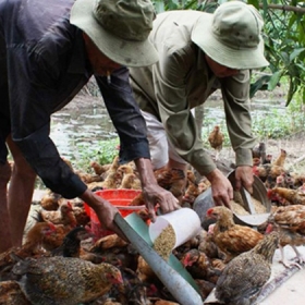 Công ty Du lịch Ấn Tượng Việt