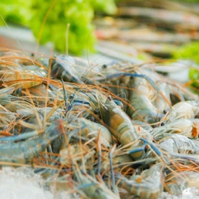 Nhà Hàng Hell Bull BBQ N Beer