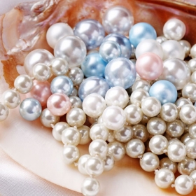 Thiên Việt Travel 