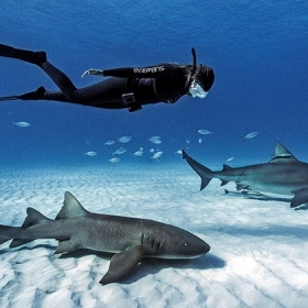 Rumblefish Việt Nam