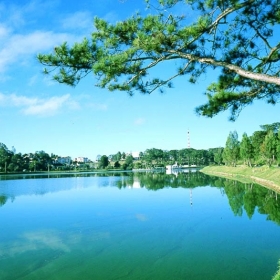 Hello Đà Lạt Travel 