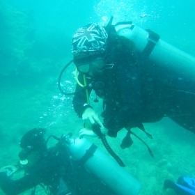 Rumblefish Việt Nam