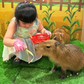 Ecokids Farm Tasco Mall - Vé vui chơi áp dụng ngày cuối tuần