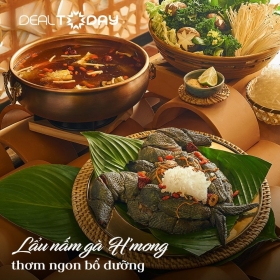 Quán Nhà - Lẩu nấm gà H Mông hoặc Lẩu Thái hải sản chua cay