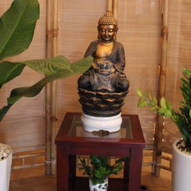 An Đạo Toàn Spa - Massage Đông Y Cổ Truyền