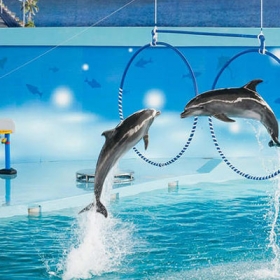 Tuần Châu Hà Nội