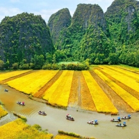 DU LỊCH VIỆT PROMOTION