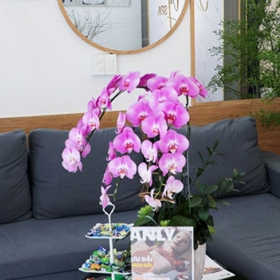 Anly Spa Beauty & Clinic