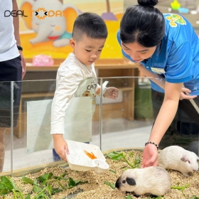 Combo 3 vé vui chơi cho gia đình tại B-Zone Thảo Điền