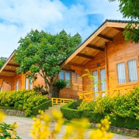 Tea Bảo Lộc Resort