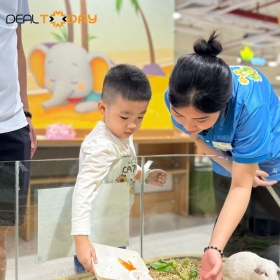 B-Zone Thảo Điền - Vé vào cổng dành cho người lớn