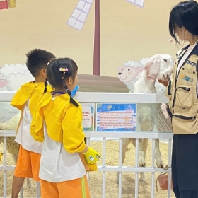 Khu vui chơi B- Zone