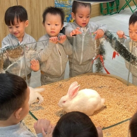 Khu vui chơi B- Zone