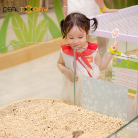 B-Zone Ocean - Vé vui chơi trẻ em