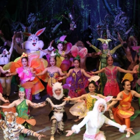 Liên Đoàn Xiếc Việt Nam 