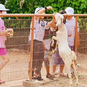 TTC Mekong Aqua Park