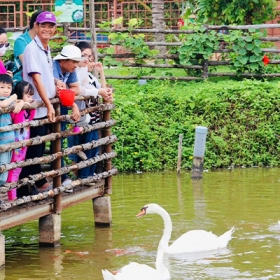TTC Mekong Aqua Park