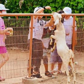 TTC Mekong Aqua Park