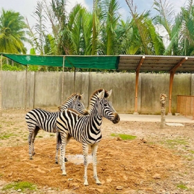 TTC Mekong Aqua Park