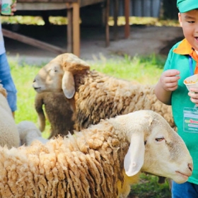 TTC Mekong Aqua Park