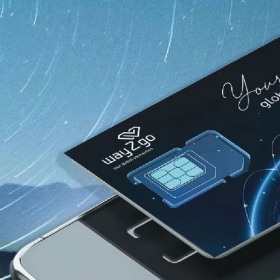 Consortio Việt Nam