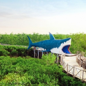 Khu du lịch quốc tế Đồi Rồng	