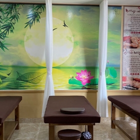 DƯỠNG SINH ĐÔNG Y LÂM VŨ