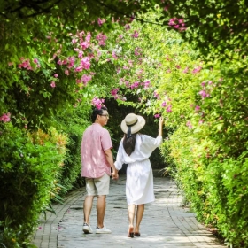 FLC Hotels & Resorts