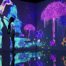 Flamingo Ibiza Hải Tiến