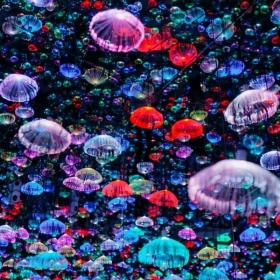 Flyover Starry Sky Art Museum