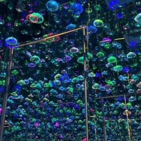 HLC Starry Sky Art Museum