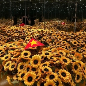 HLC Starry Sky Art Museum