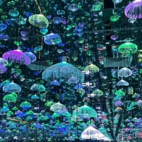 HLC Starry Sky Art Museum