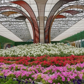 KDL Vạn Hoa Đà Lạt - Làng hoa Vạn Thành