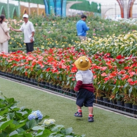 KDL Vạn Hoa Đà Lạt - Làng hoa Vạn Thành