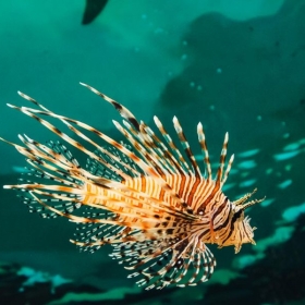 Lotte World Aquarium Tây Hồ Hà Nội