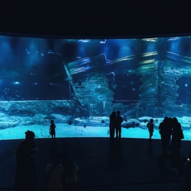 Lotte World Aquarium Tây Hồ Hà Nội