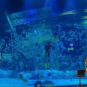 Lotte World Aquarium Tây Hồ Hà Nội