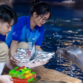 Lotte World Aquarium Tây Hồ Hà Nội