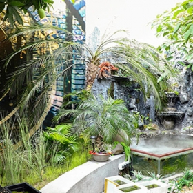 MADAM VINH GARDEN HOUSE