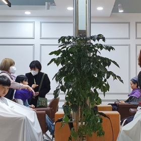 Moonhee Hair Salon