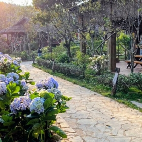 Natalie Mộc Châu Resort